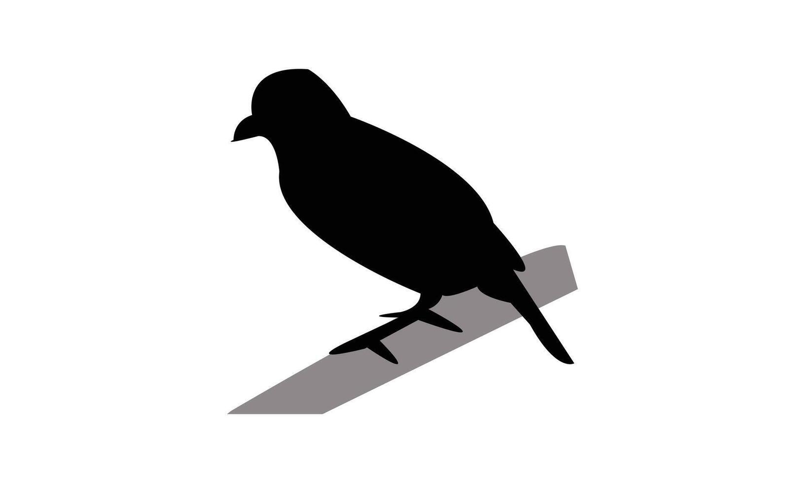 Antshrike Bird Black Silhouette Design vector