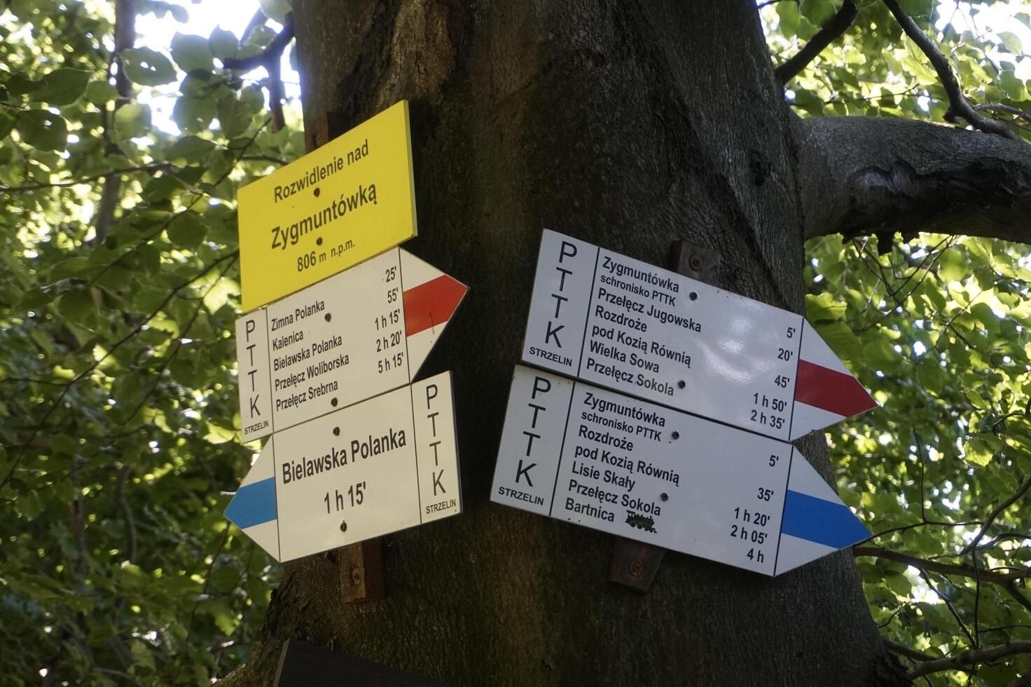 Jugowska Pass, Poland - August 8th, 2024 - Arrow Tourist Signs in Owl Mountains photo