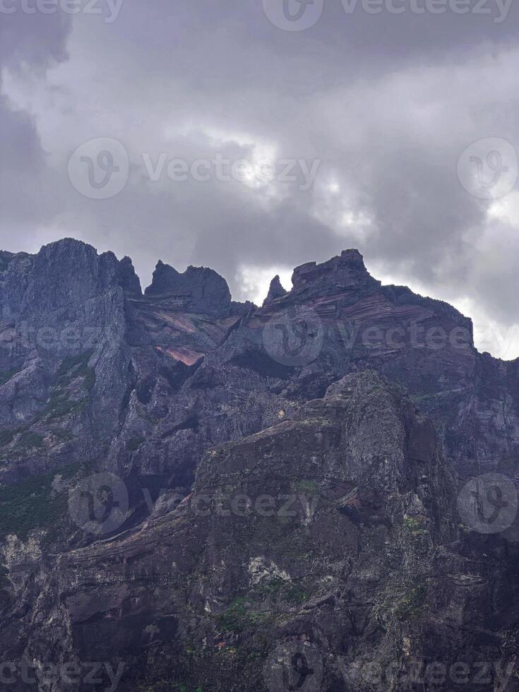 PR1 Madeira island Portugal forest fires consequences rough trees dramatic burnt earth ground inferno mountains cliff hill fog mist eco nature connection bonding wilderness hiking loneliness vertical photo
