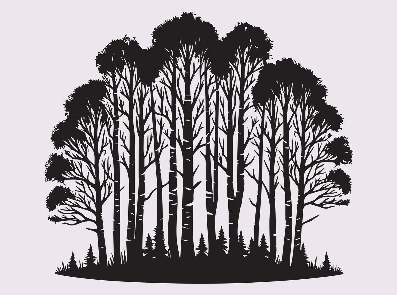 Natural Birch Tree Forest Silhouette in Black Featuring a Scenic Woodland View with Tall Trees vector