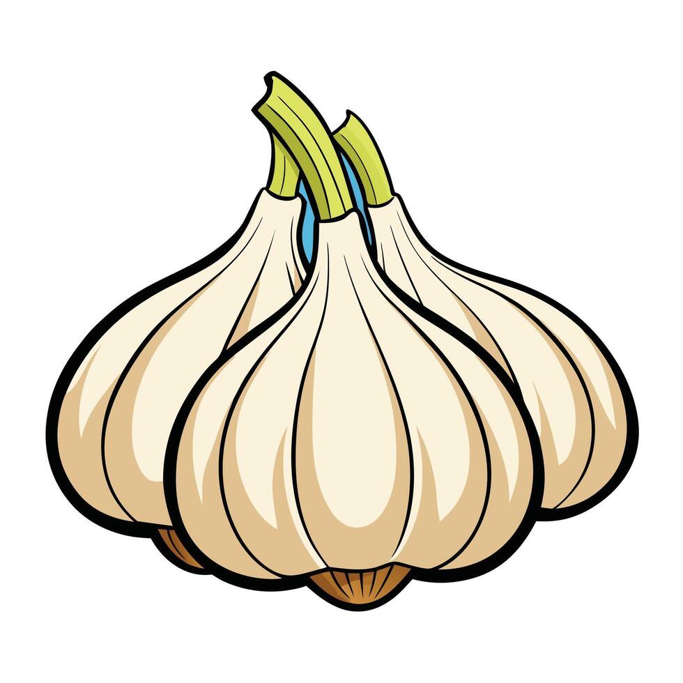 Three garlic cloves on a white background vector