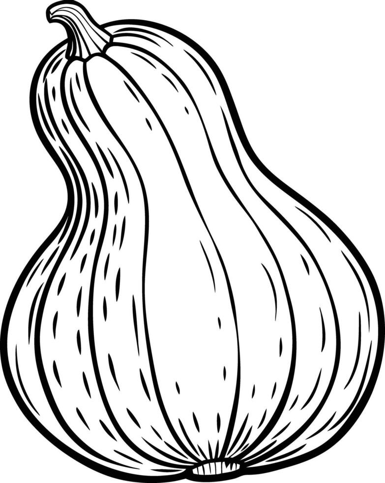 A black and white drawing of a pumpkin vector