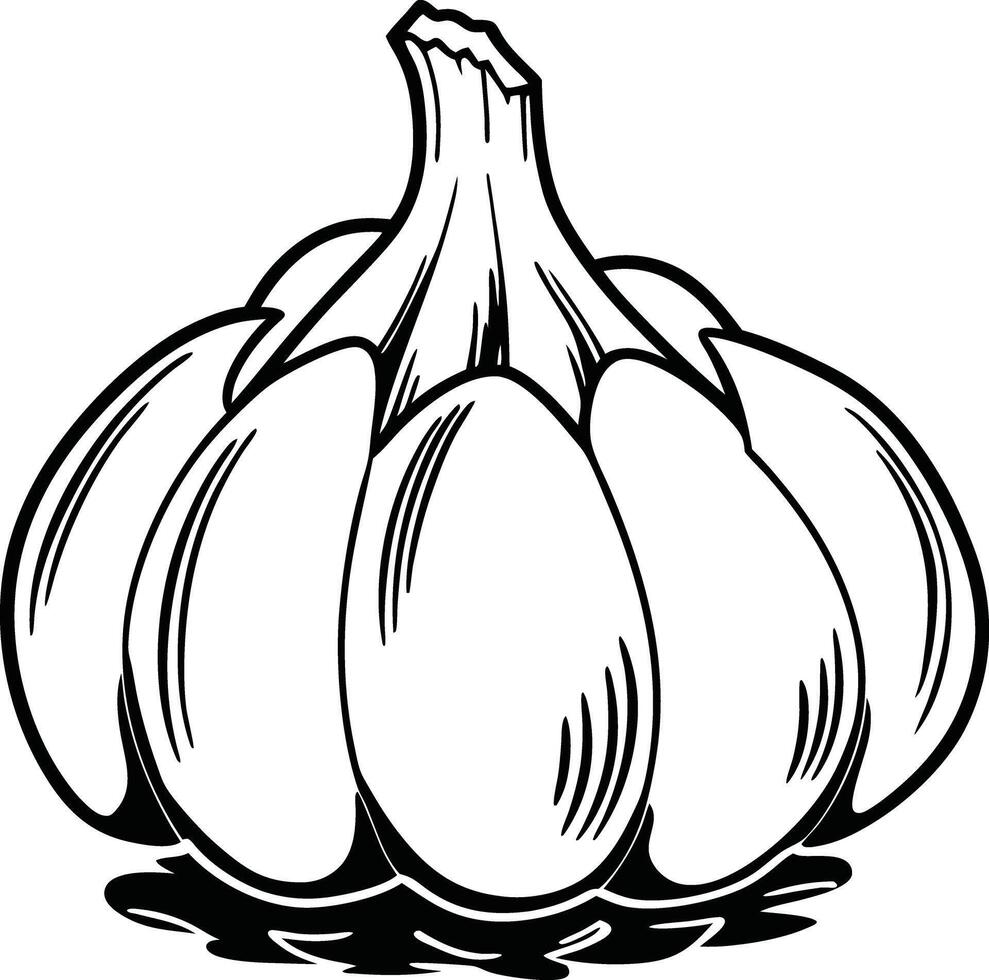 A garlic bulb on a white background vector