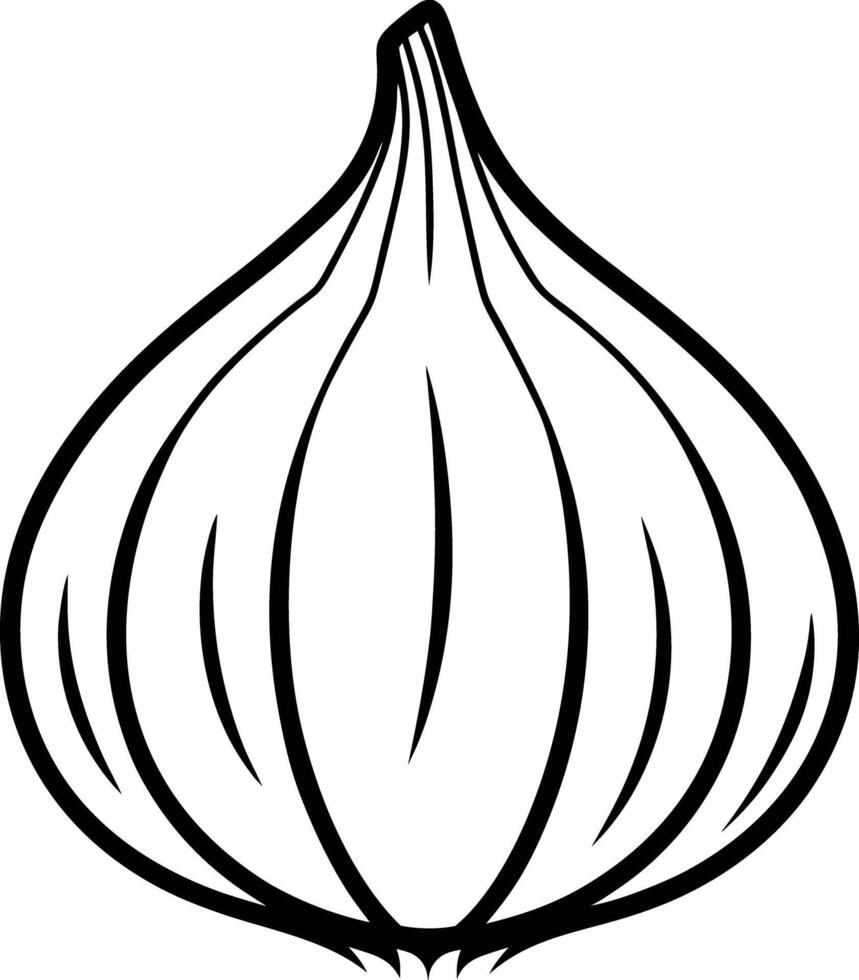A garlic bulb is shown in this drawing vector