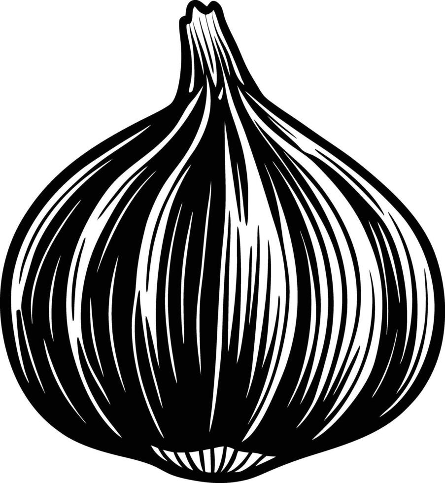 An illustration of a garlic bulb vector