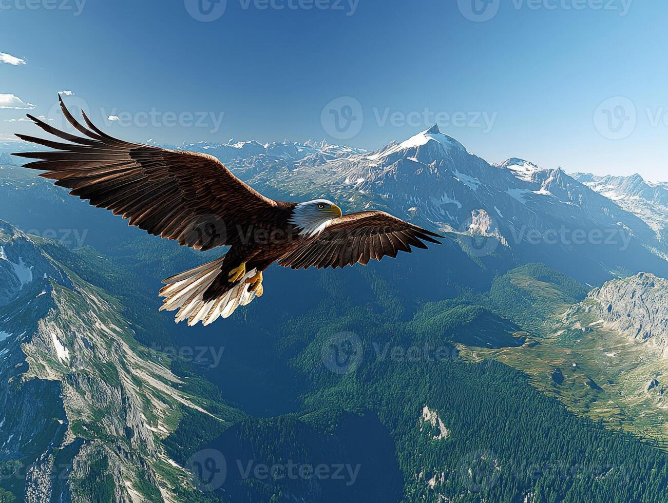 Bald eagle soaring high over majestic mountain range photo