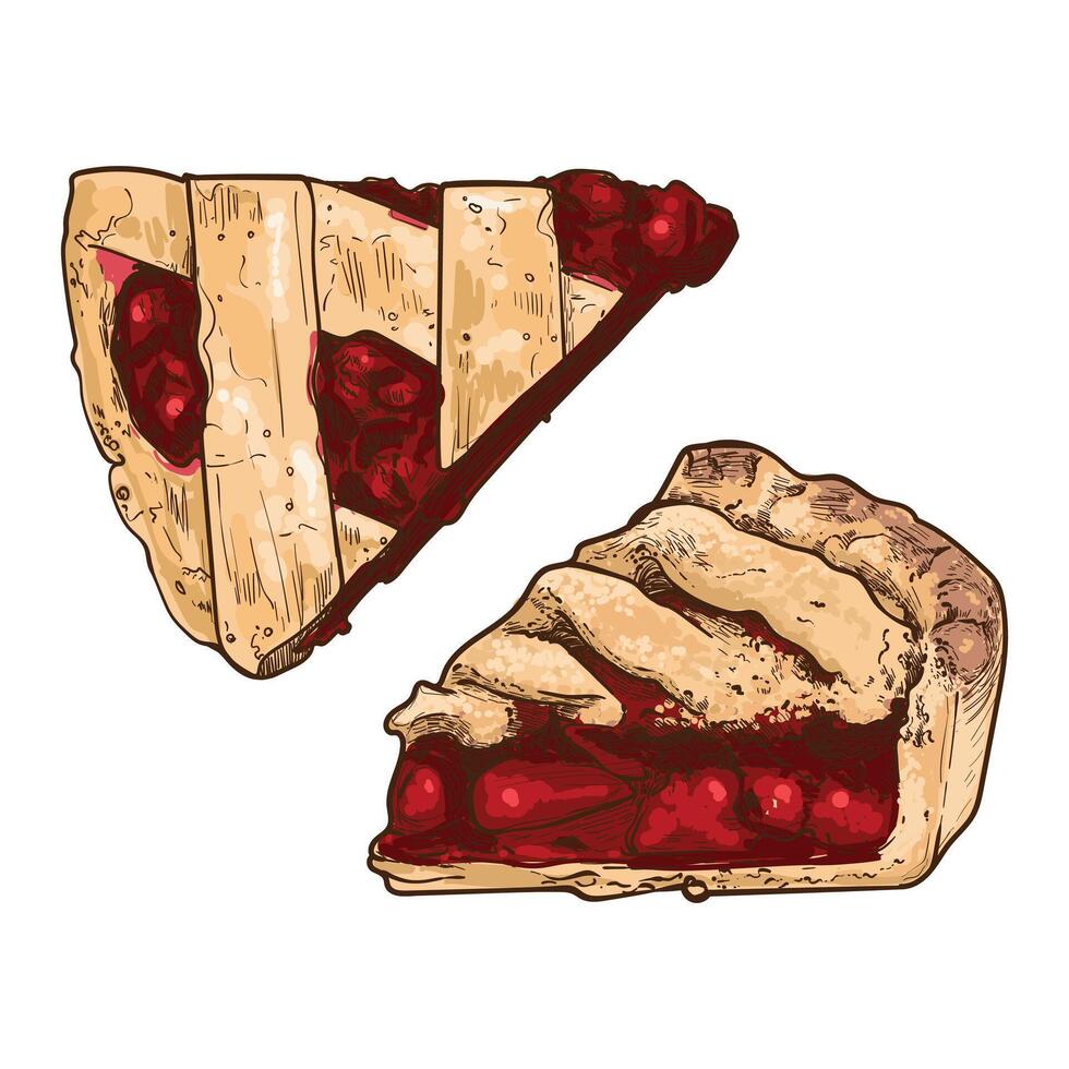 hand drawn slices of pie. Top and side view of fruit pie with stripe crust and fruit filling. Easy to edit and use food assets. vector