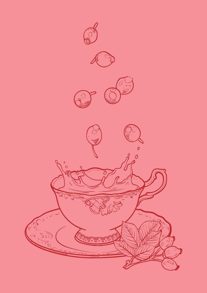 Hand drawn tea poster. Illustration with a side view rose hip falling into a tea mug. Design ready to be used in online and print projects for bar or cafes such as menus or posters. vector