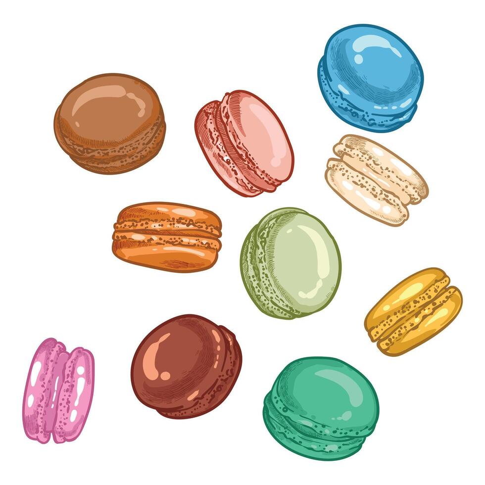 hand drawn colorful macaroons. French sweets with vanilla, chocolate, coffee, caramel flavors. Easy to edit and use food assets. vector