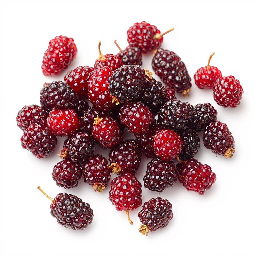 A pile of blackberries on a white background photo
