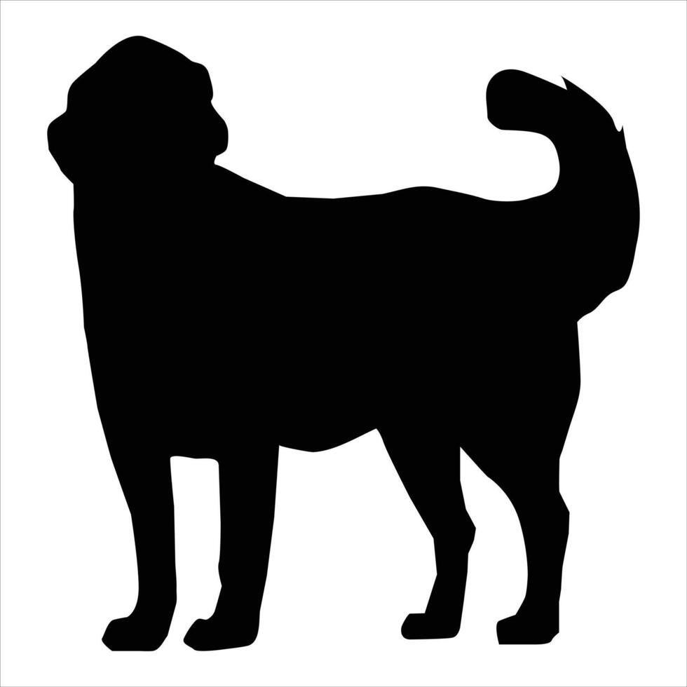 black dog stand on white background vector