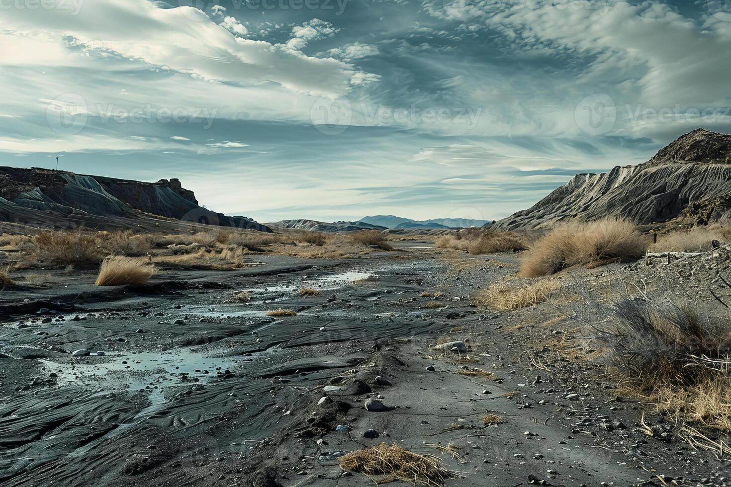 A desolate desert landscape with a few puddles of water photo