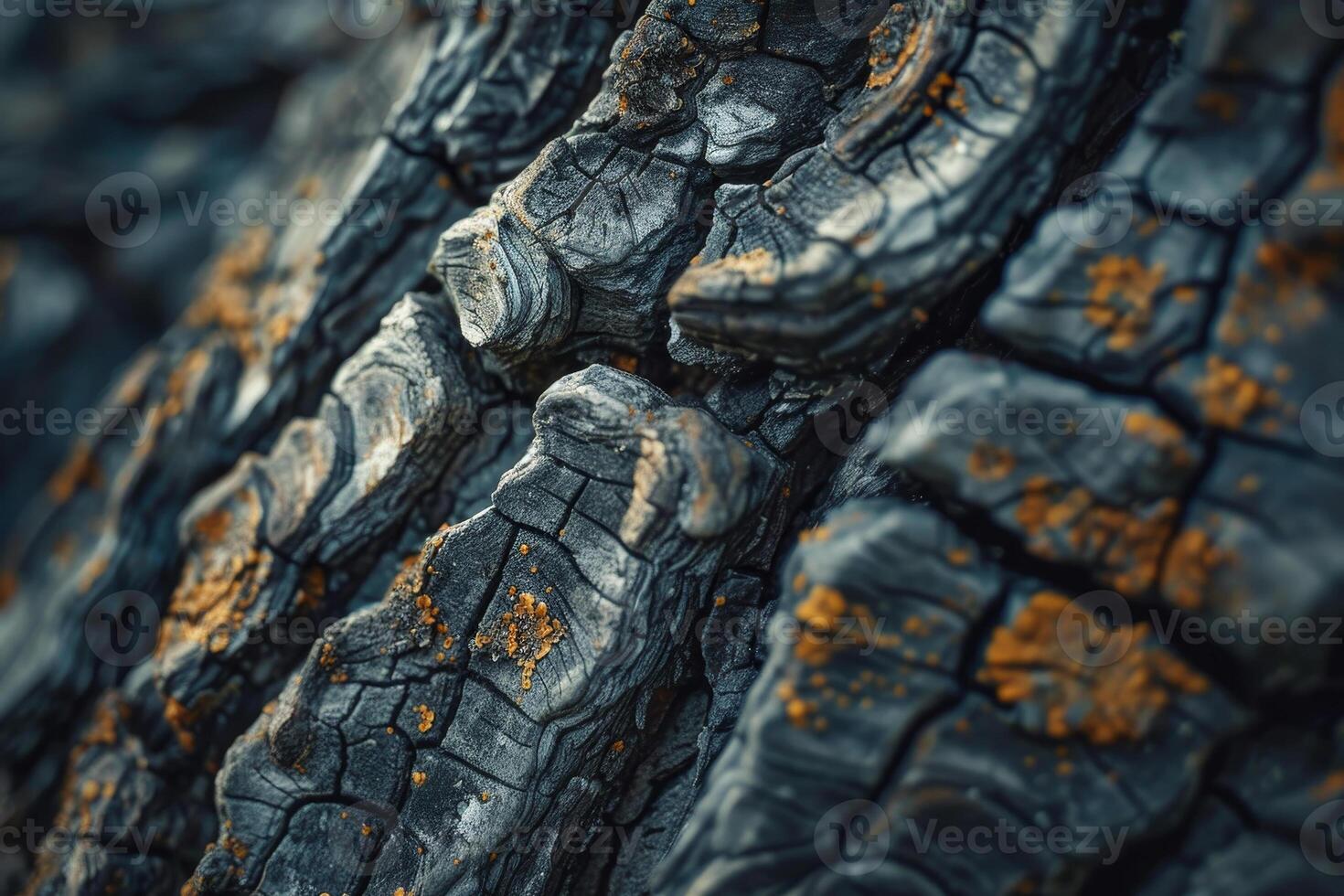 Close up of a burnt tree trunk with some brown and black paint photo