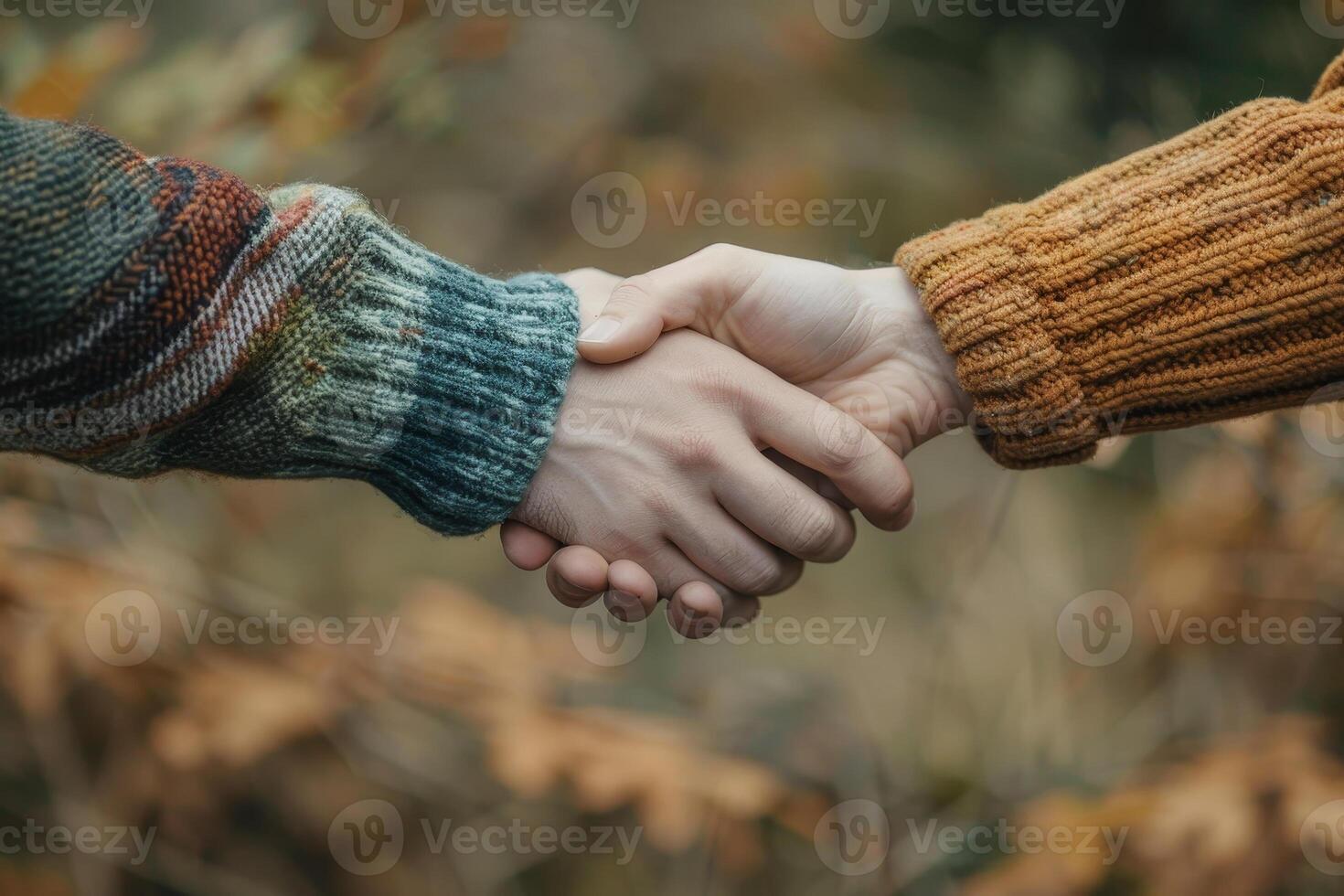 Two people shaking hands in front of a tree photo