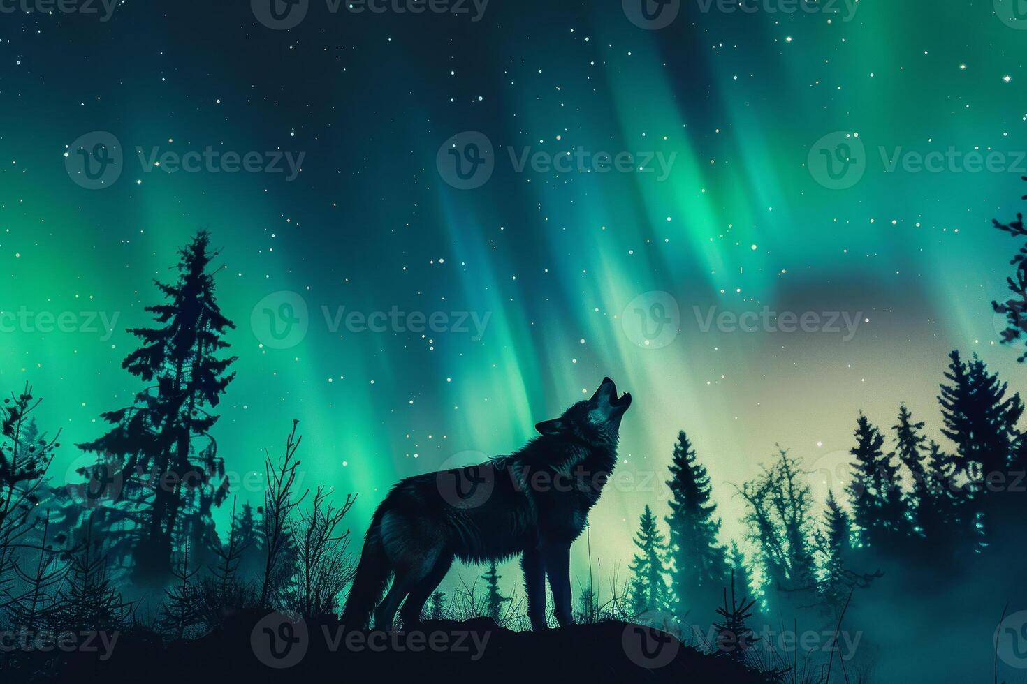 A wolf howling at the aurora lights in the sky photo