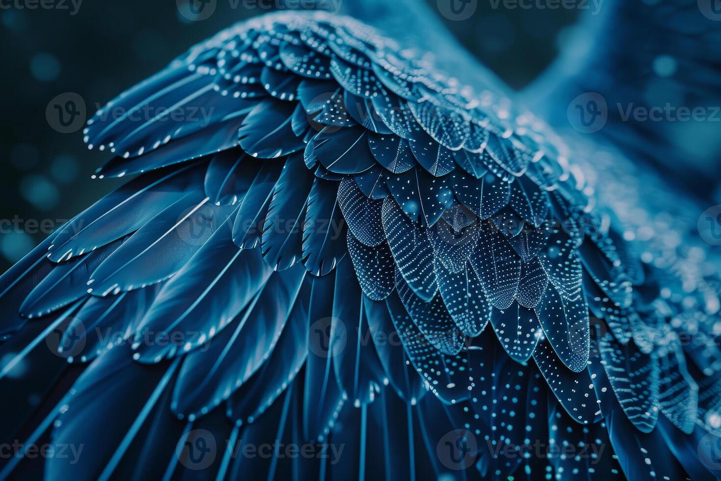 A close up of a bird's wings photo