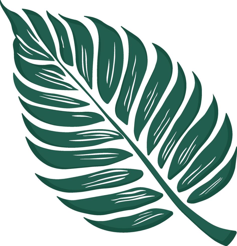 green leaf of a plant or fern or bush without background vector