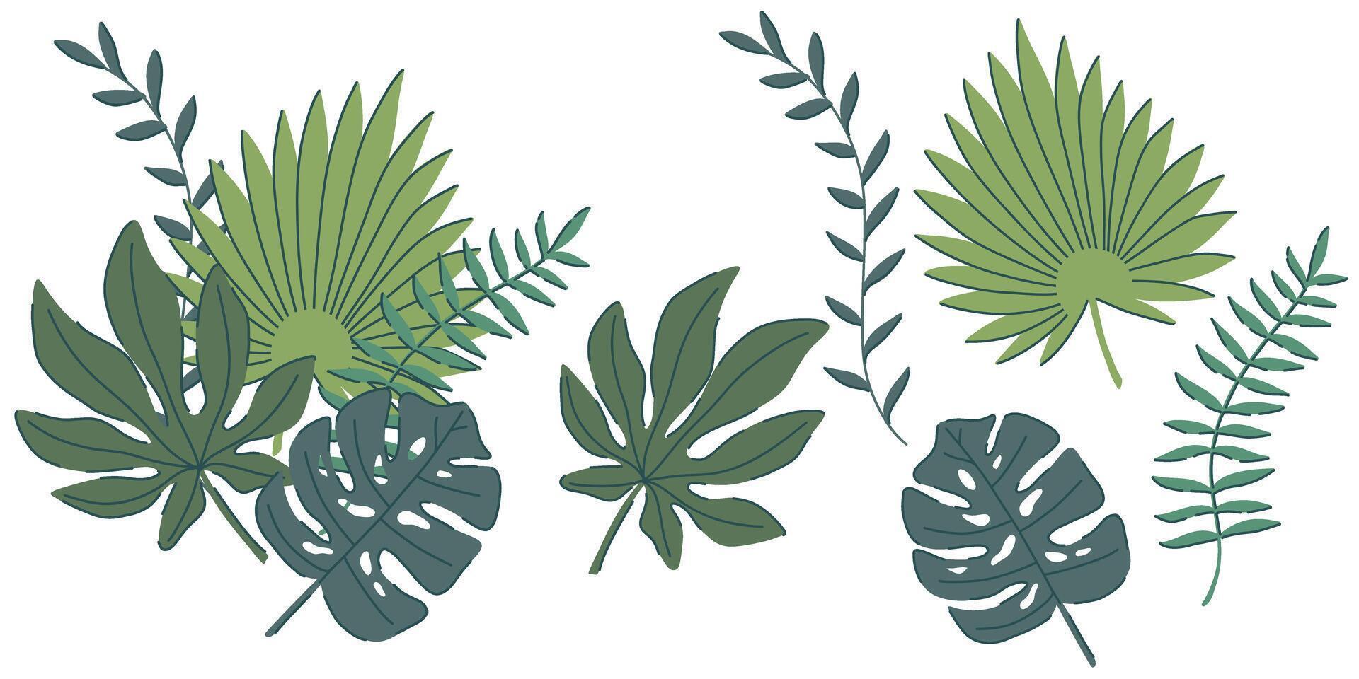 illustration of tropical jungle leaves, featuring monstera, palm, and fern foliage. A botanical themed set with elegant green tones, perfect for invitations, decor, digital art, and patterns vector