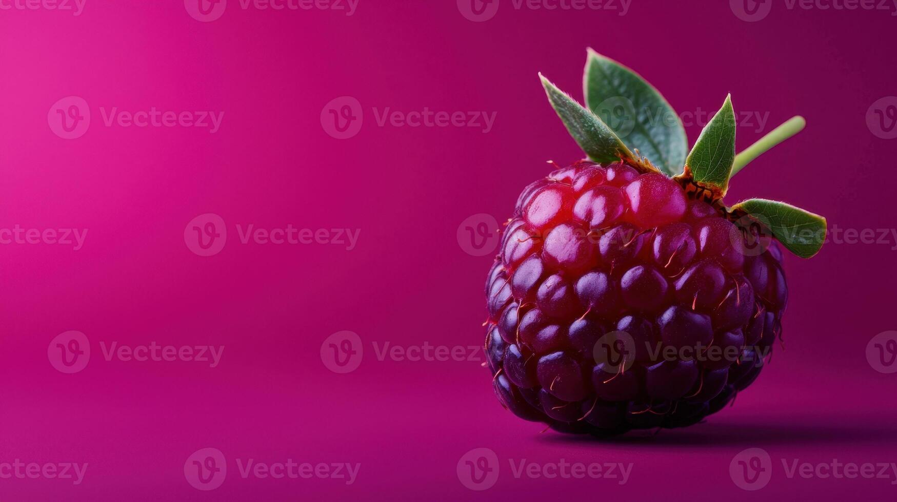 A raspberry on a pink background photo