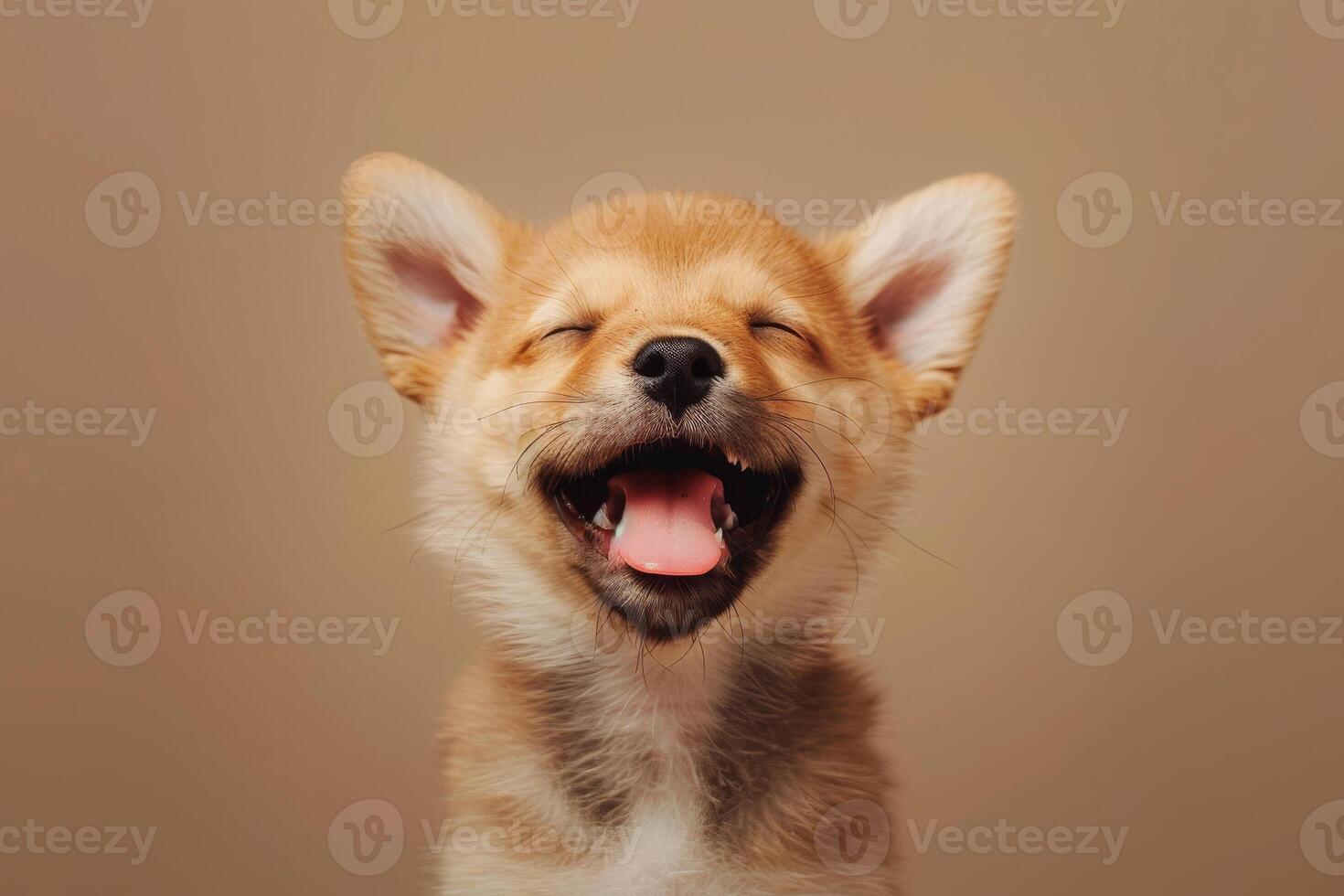 A cute little dog with its mouth open photo