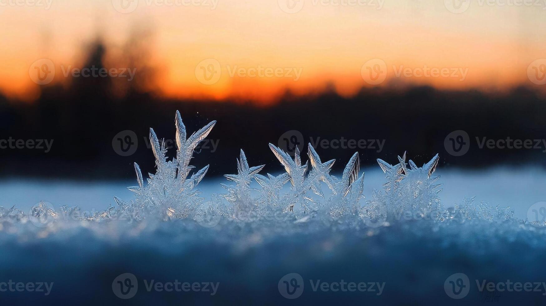 Frosty ice crystals on the ground at sunset photo