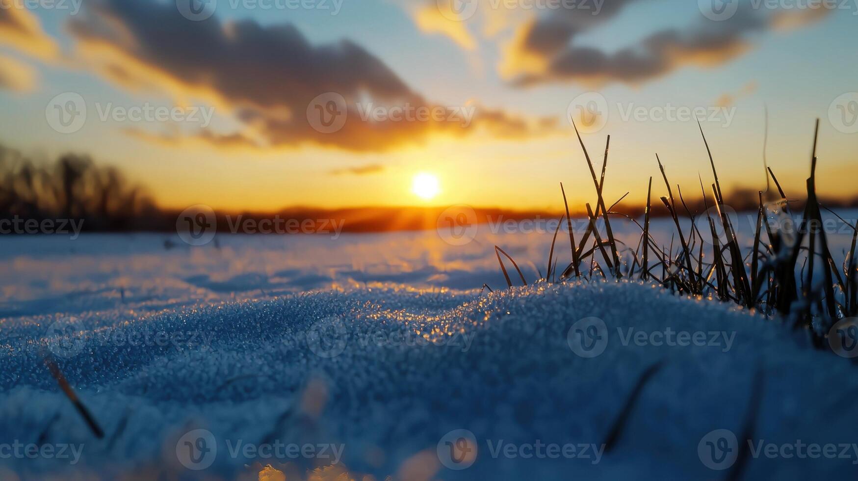 A field with snow and grass at sunset photo