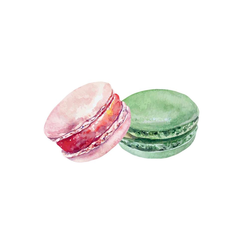Macarons, pink and green. Hand drawn illustration of sweets. For postcards, invitations, poster for pastry shop and cafes, large banners, labels. vector