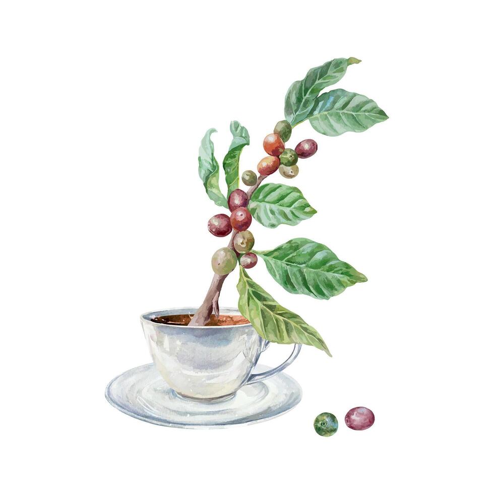 Coffee branch with berries and leaves, cup with drink, watercolor. Hand drawn illustration. For labels, postcards, invitations, posters for cozy cafes, large banners for shops. vector