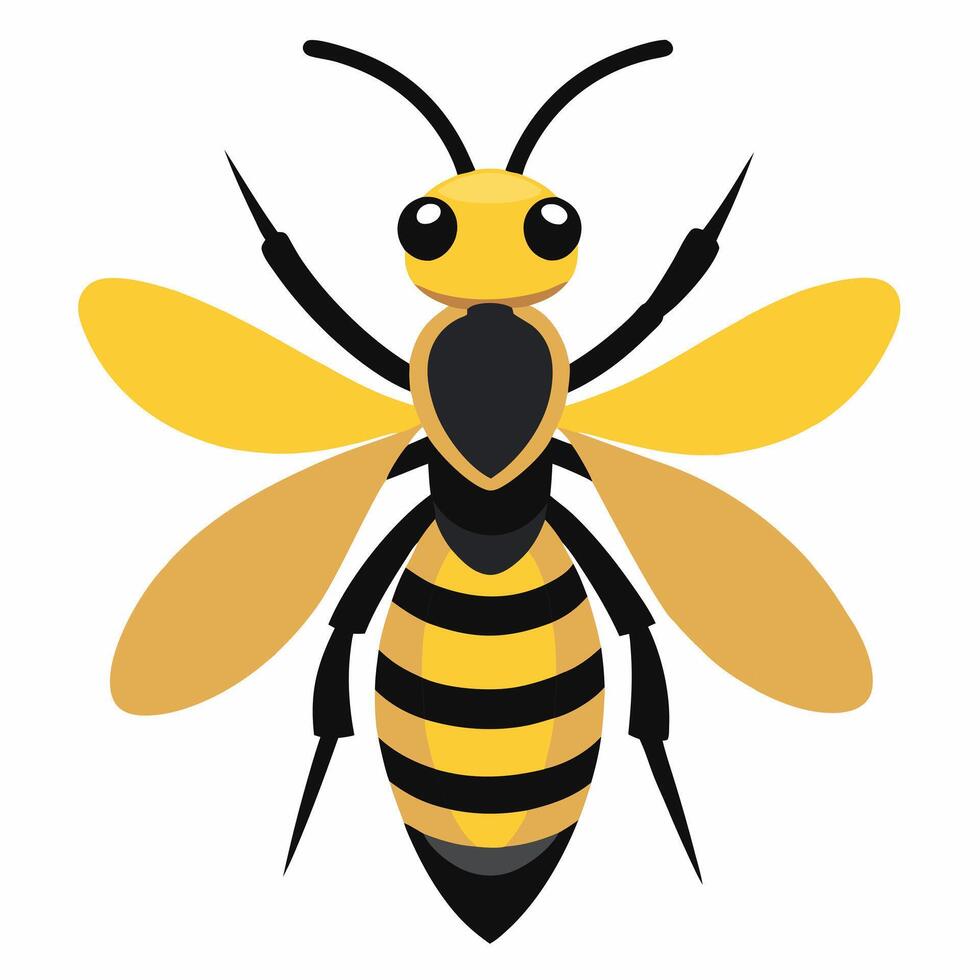 cartoon insect bee car in flying. illustration yellow black wasp, hornet ,bumblebee. isolated on white background. Suitable for education poster ,children's books vector