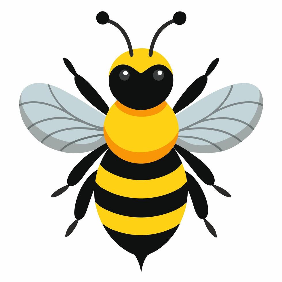 cute insect bee cartoon in flying. illustration yellow black wasp, hornet ,bumblebee. isolated on white background. Suitable for education poster ,children's books. vector