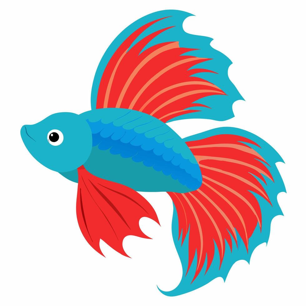 cartoon cute fish betta.Colorful illustration fish on white background Pro . Suitable for children's books on zoology, sticker, mascot vector