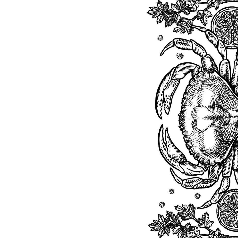 Border frame with crab, lemon and herbs. Hand-drawn illustration. Black and white image of seafood. Separate from the background. For menus, recipe books, packages, labels and banners. vector