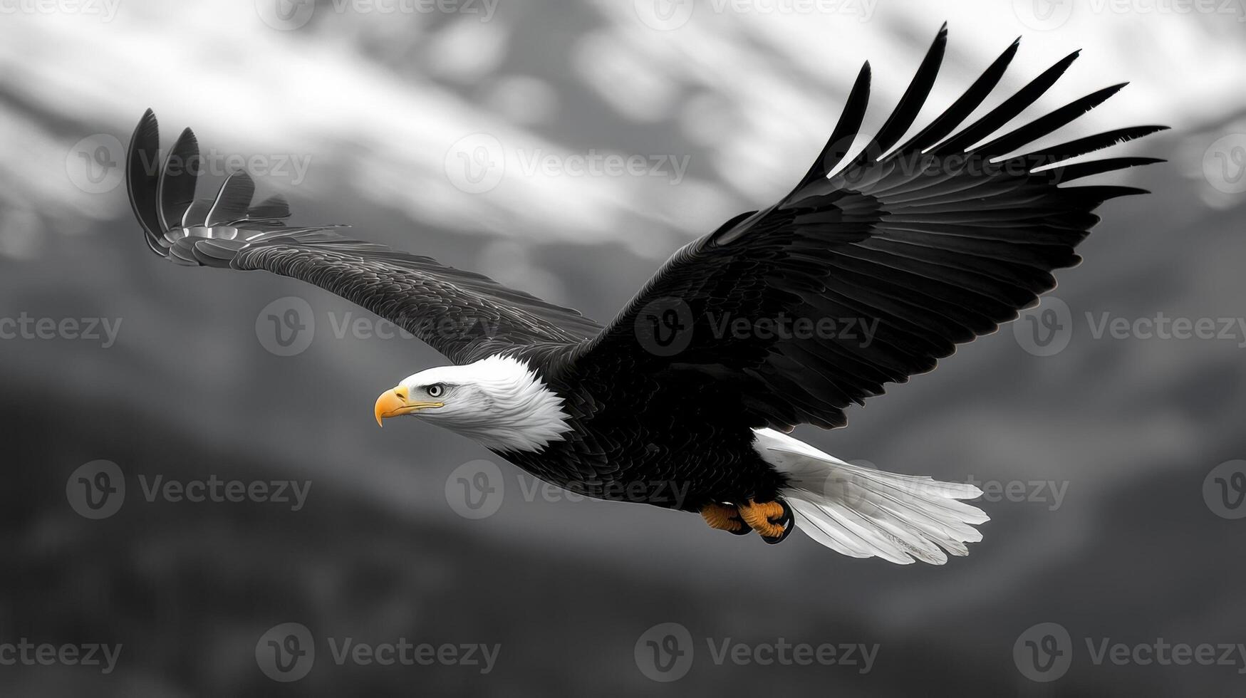 A bald eagle flying over a mountain range photo