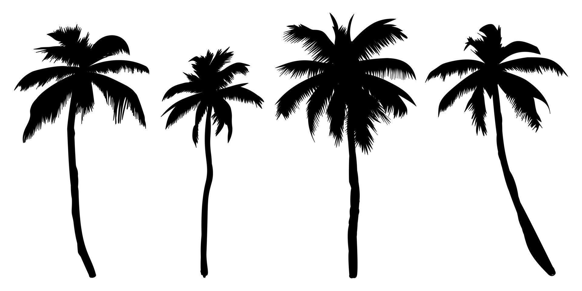 Collection of silhouettes palm trees. vector