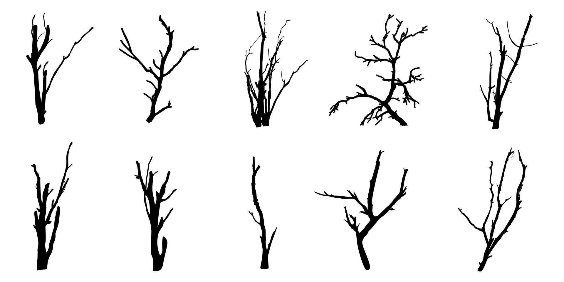 Black Branch Tree or Naked trees and root silhouettes set. vector