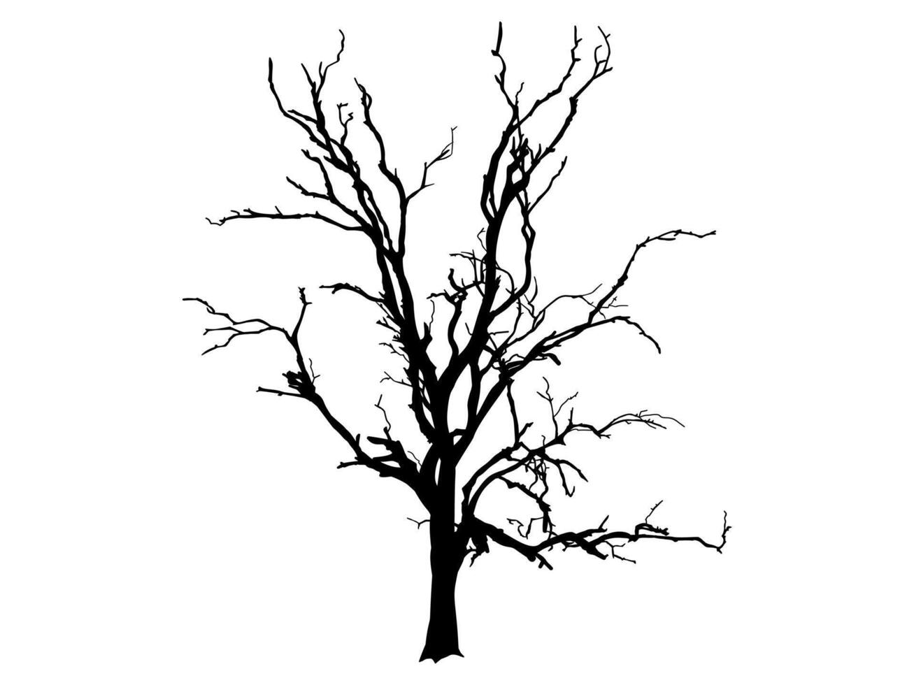 Black Branch Tree or Naked trees silhouettes in nature. Hand drawn isolated illustrations. vector