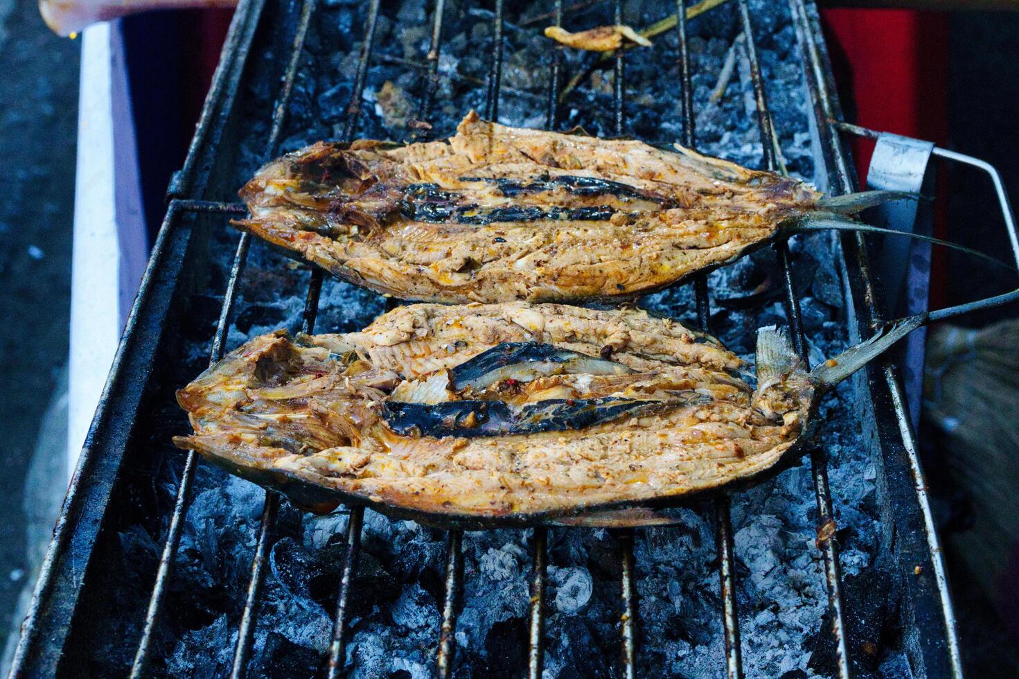 grilled milk fish photo