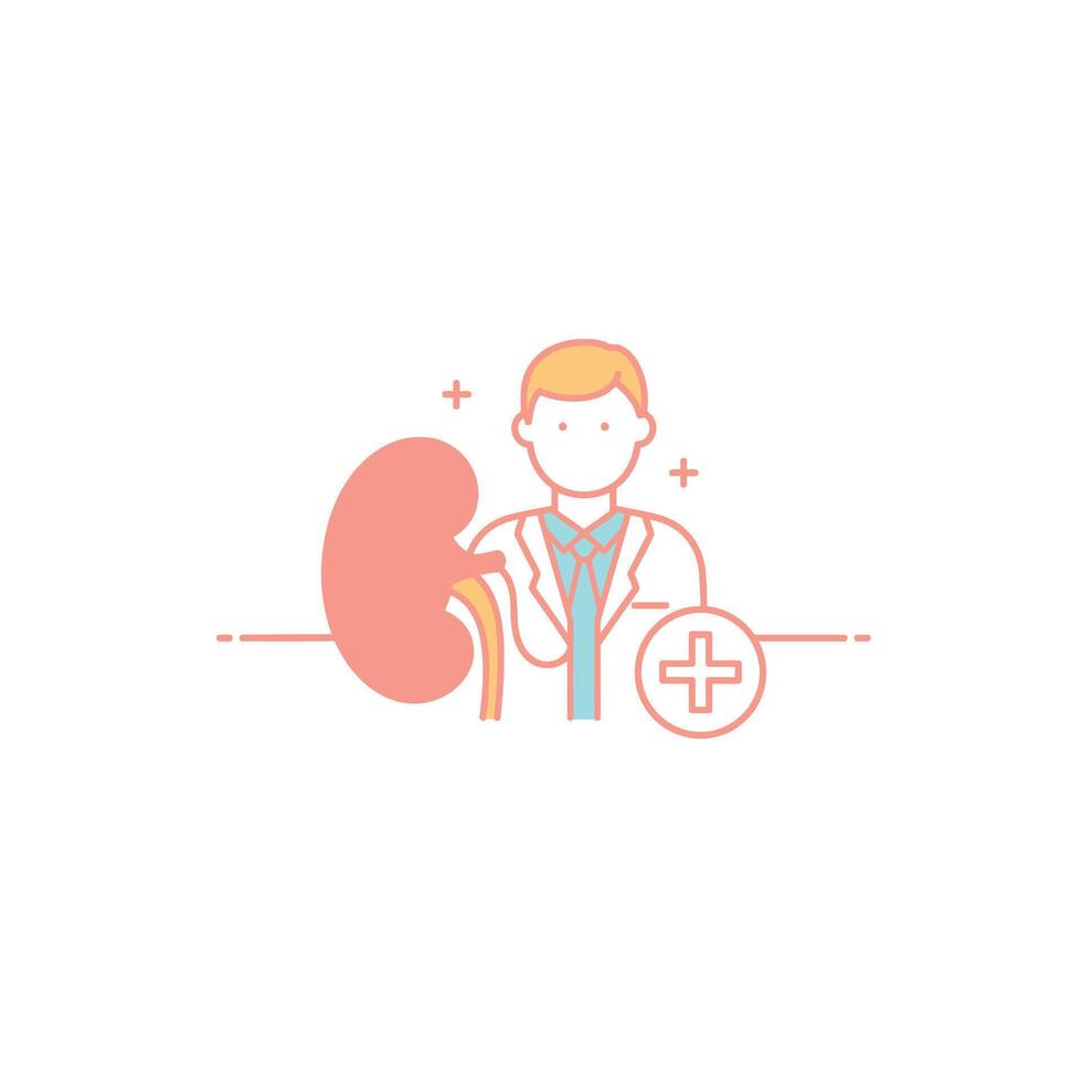 A doctor is holding a kidney and a medical symbol vector