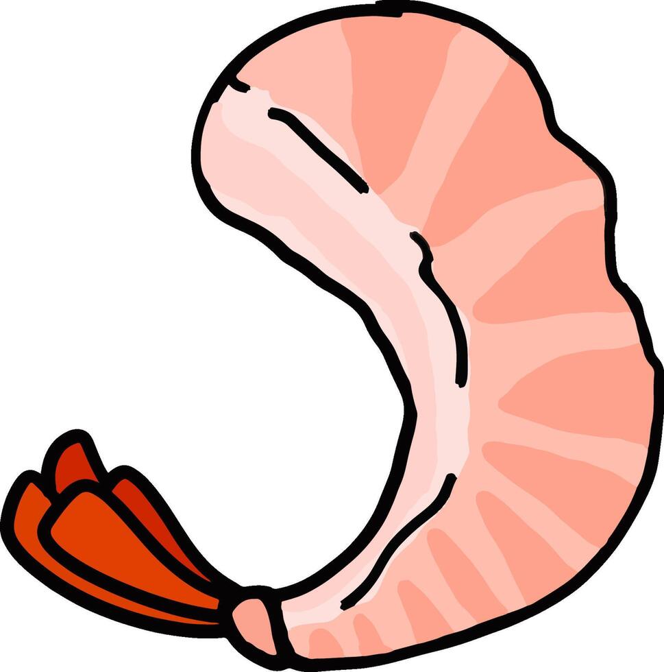 Delicious Cooked Shrimp Ready to Eat vector