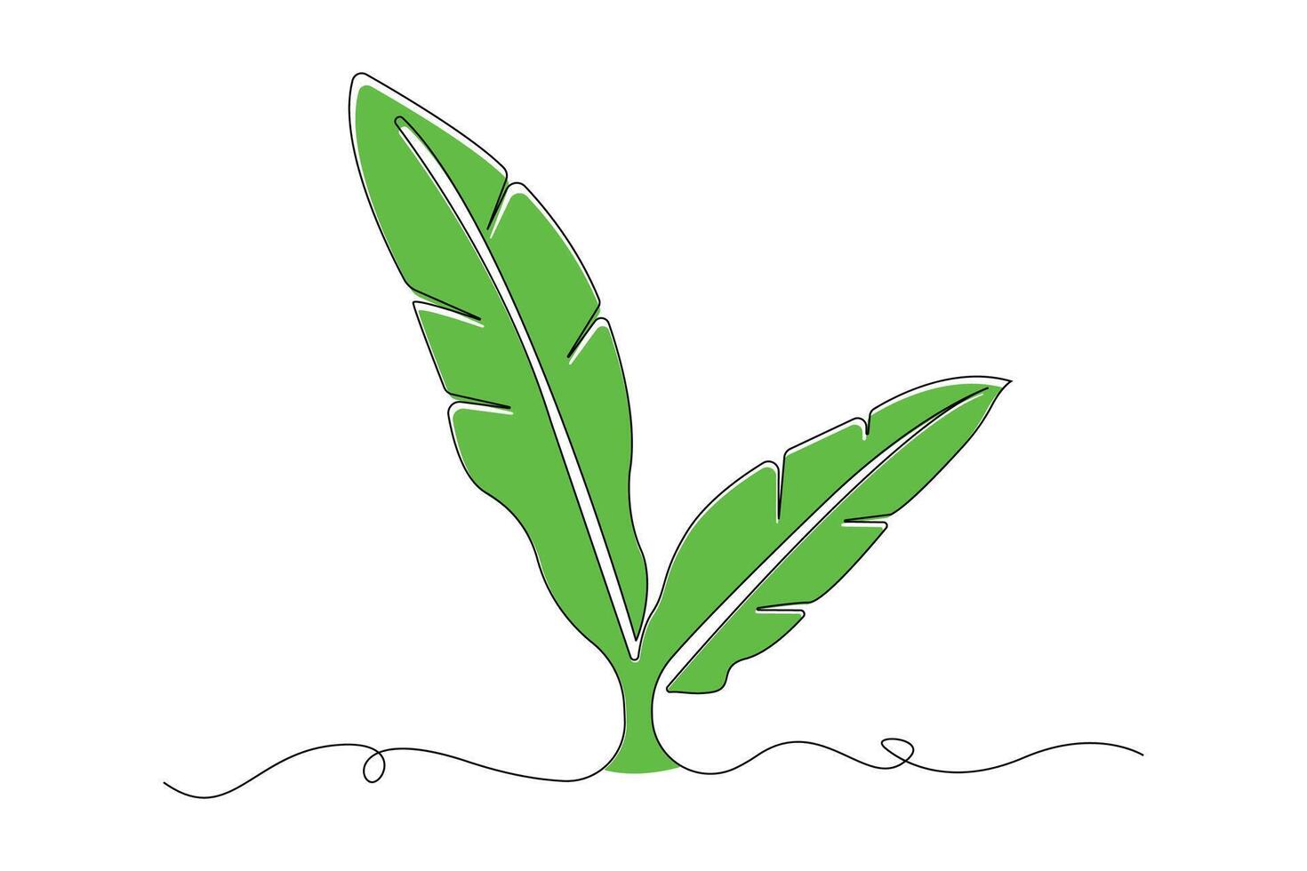 Continuous line art drawing of banana leaf. vector