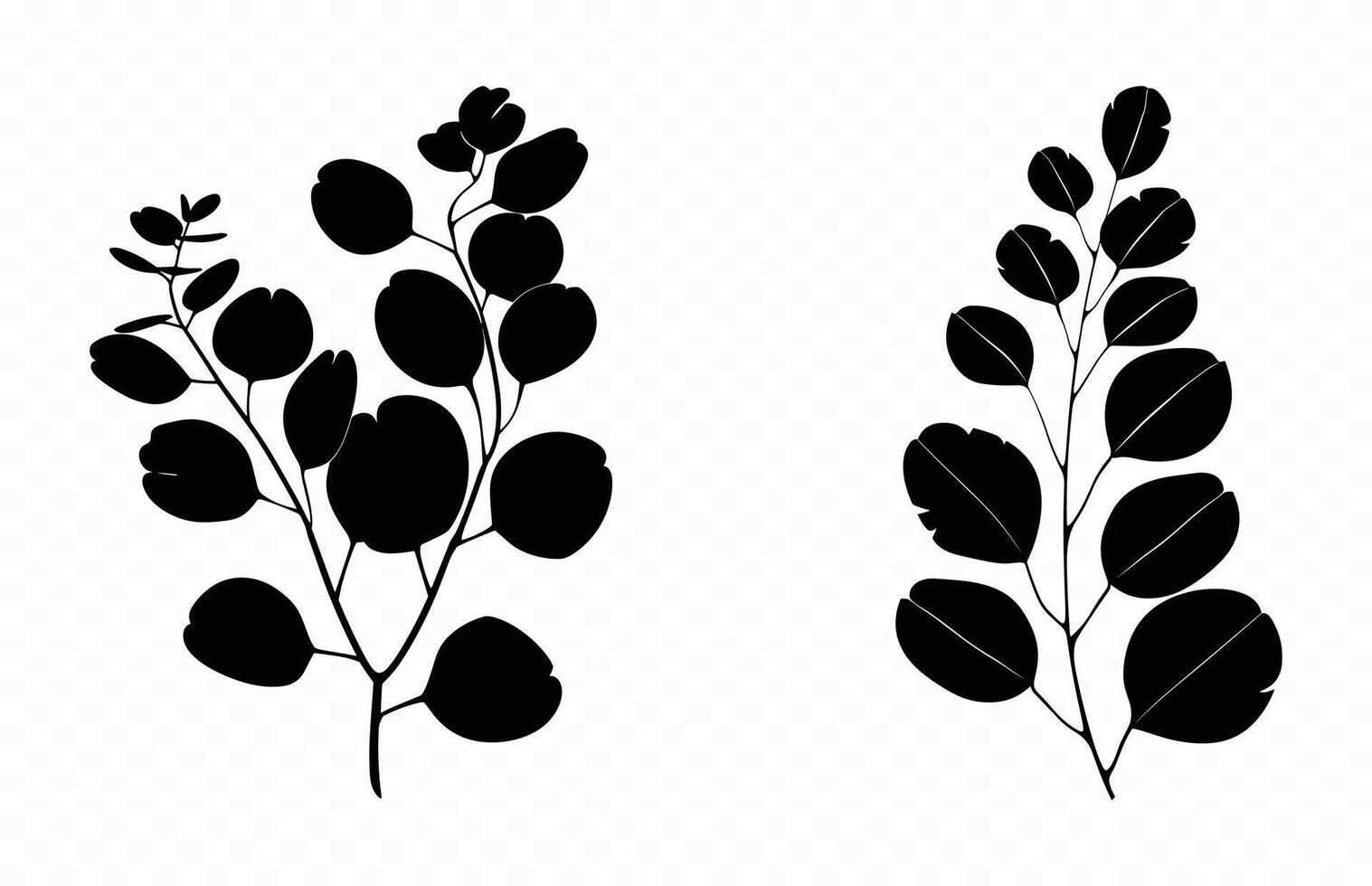 Eucalyptus Leaves Silhouette Clipart vector