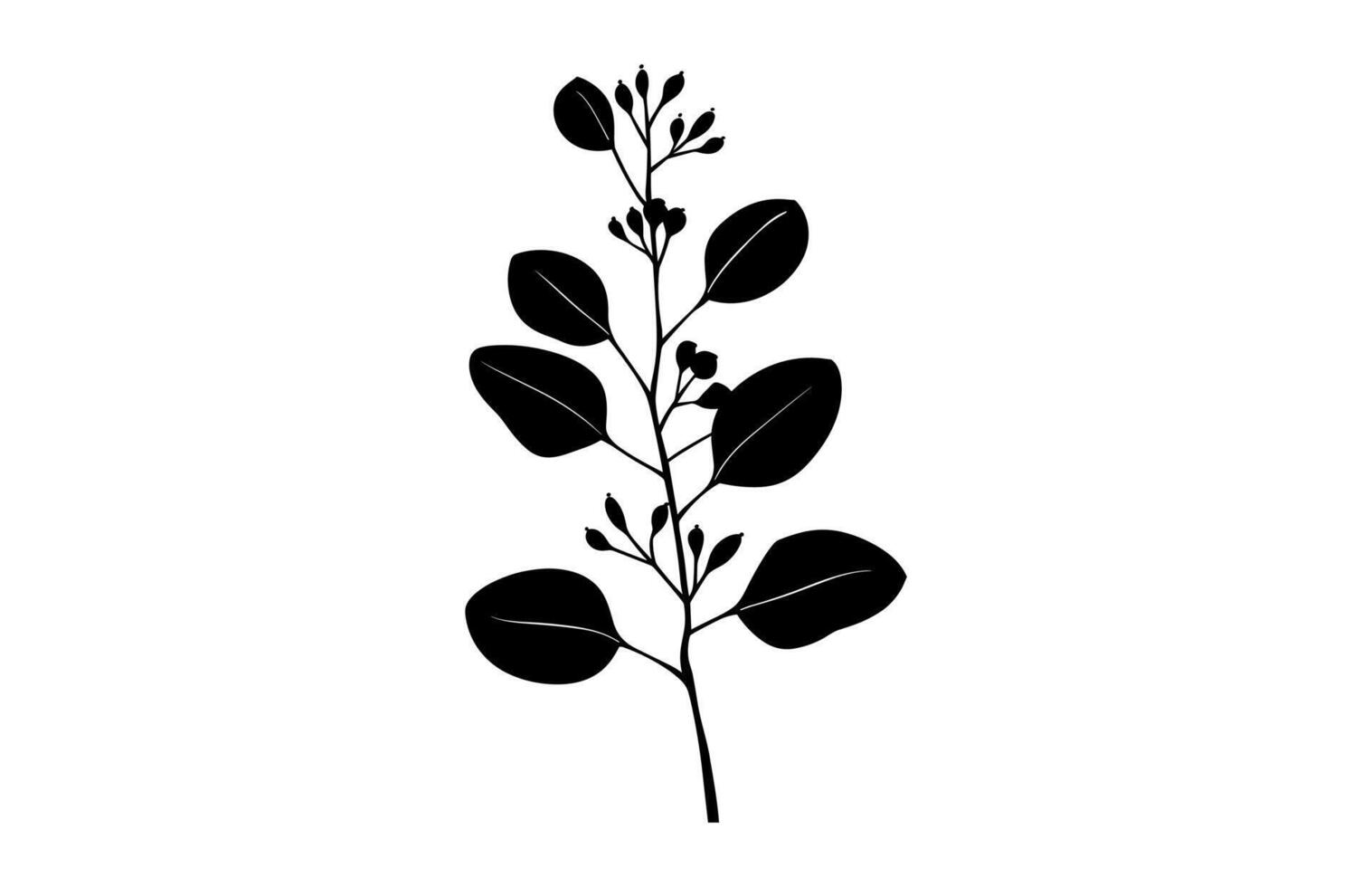 Eucalyptus Silhouette isolated on a white background vector
