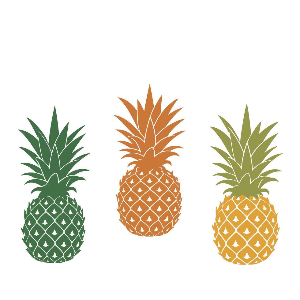 Realistic Pineapple Illustration with Sweet Yellow Golden Flesh vector