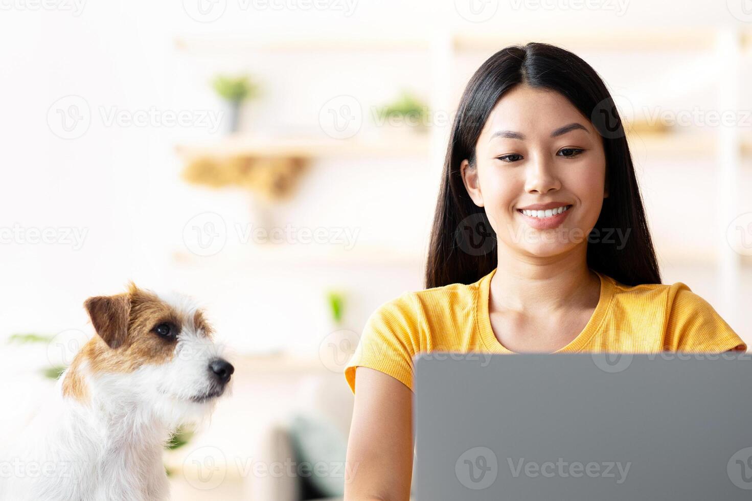Cheerful young pretty asian woman pet owner working from home, sitting at workdesk with laptop, notepads and stationery, typing on keyboard, jack russel terrier watching her, copy space photo