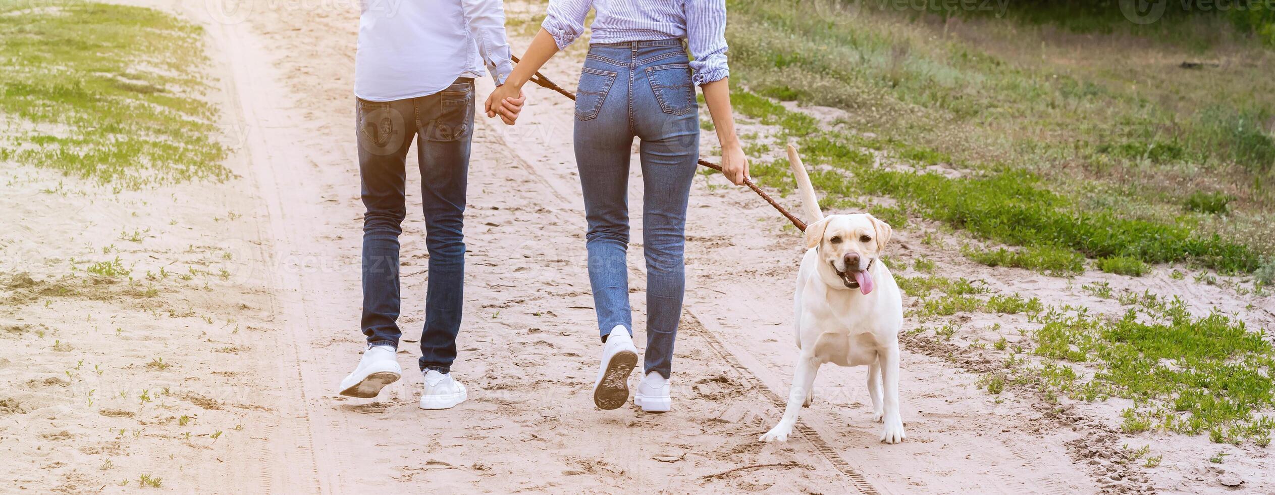 Weekend In The Countyside Concept. Back view of couple walking their satisfied doggy on a leash at sunset photo