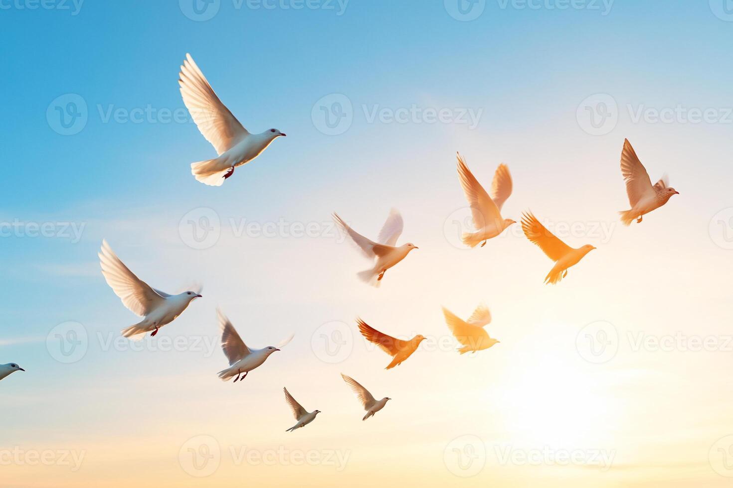 A flock of white birds flying against a sunset backdrop. photo