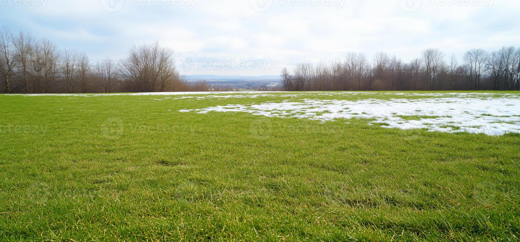 A grassy field with patches of snow under a cloudy sky. photo