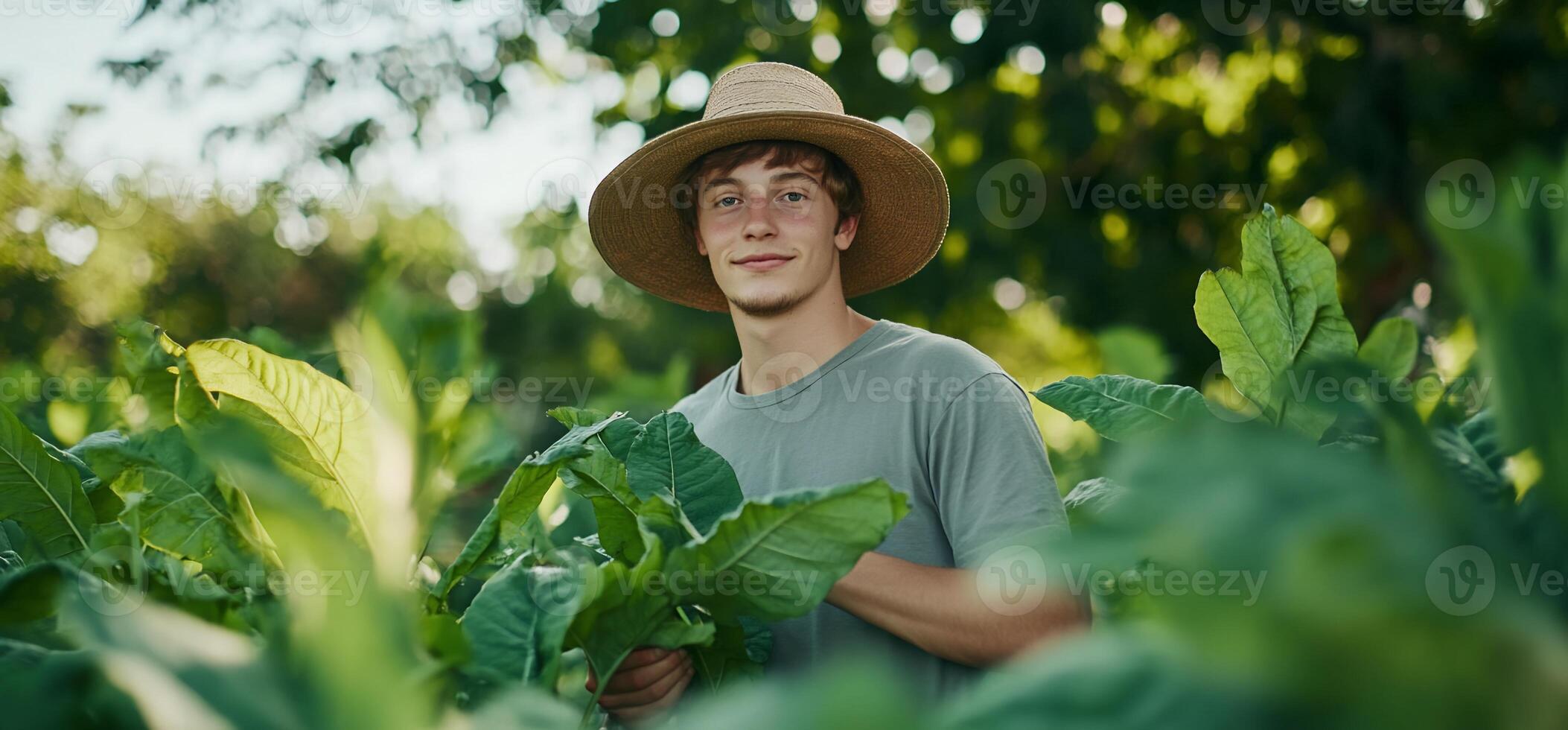 A young person in a hat stands among lush green plants in a field. photo