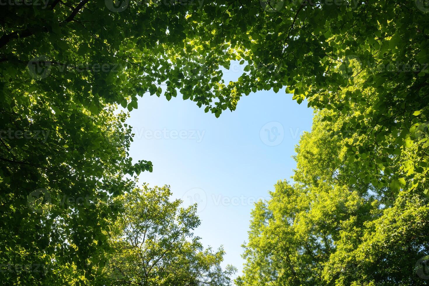 A heart-shaped view framed by lush green leaves against a clear sky. photo
