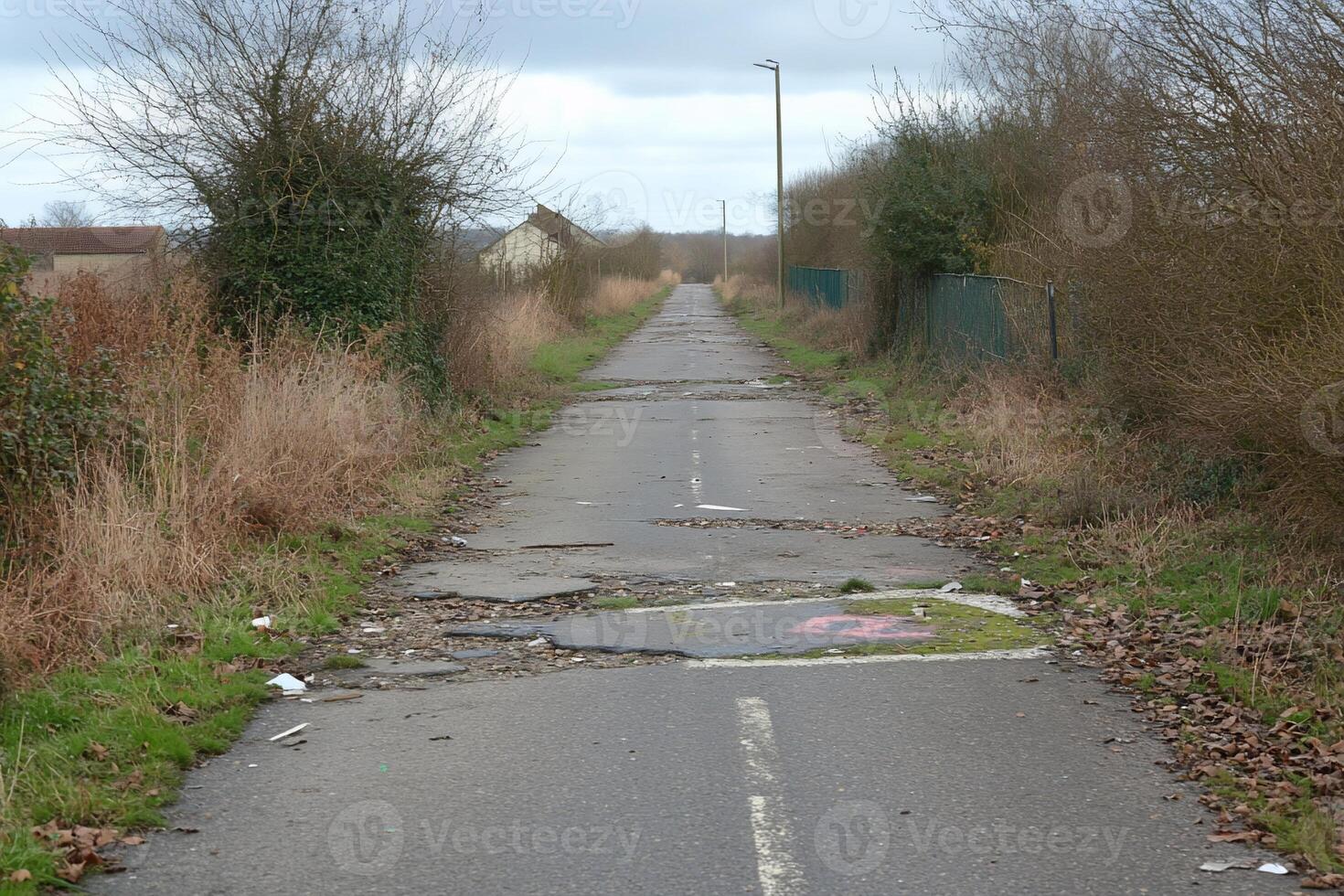 A cracked, overgrown road leading to a distant structure under cloudy skies. photo